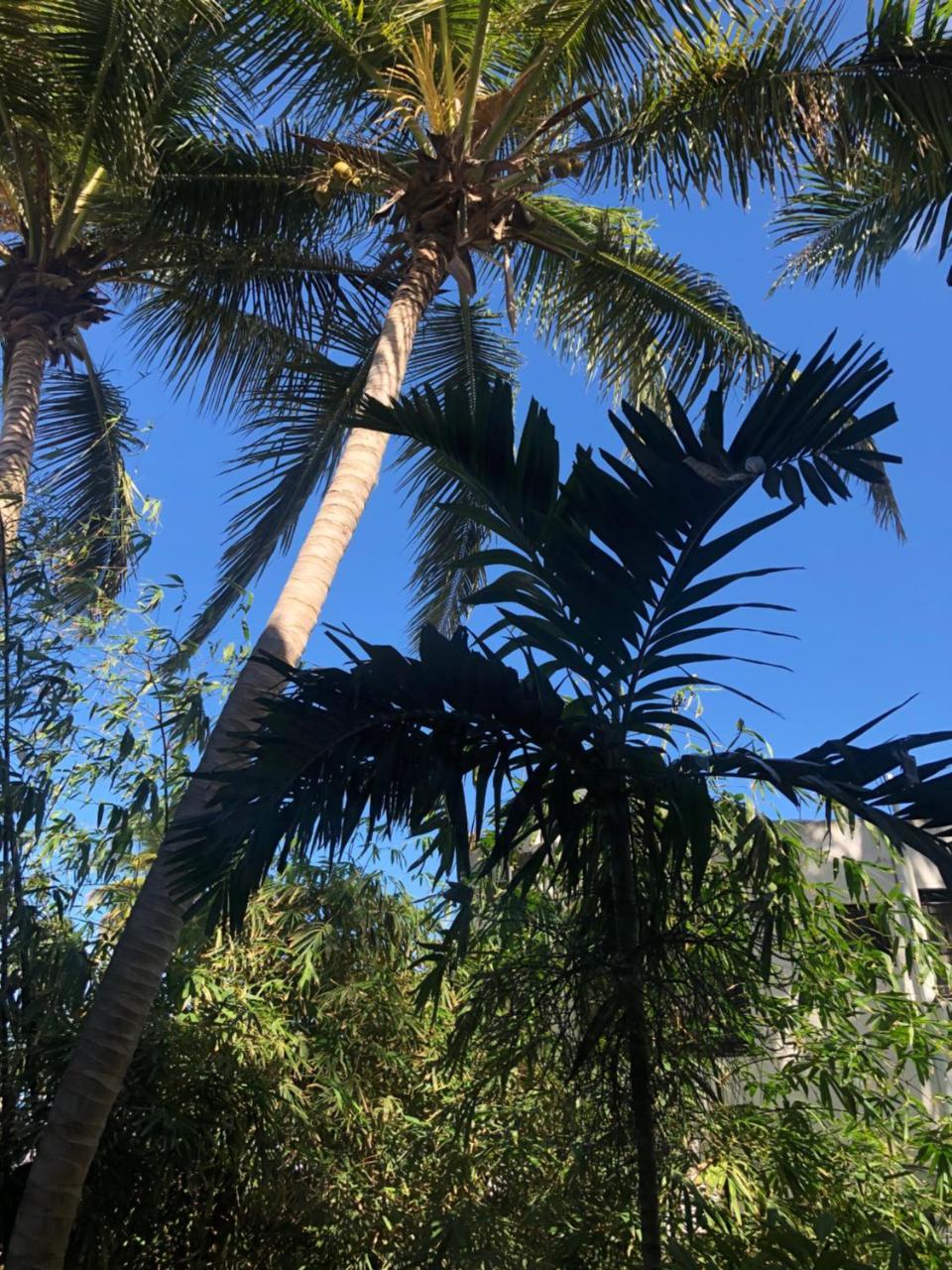Villa Florencia Bavaro Пунта-Кана Экстерьер фото