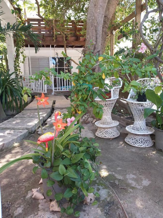 Villa Florencia Bavaro Пунта-Кана Экстерьер фото